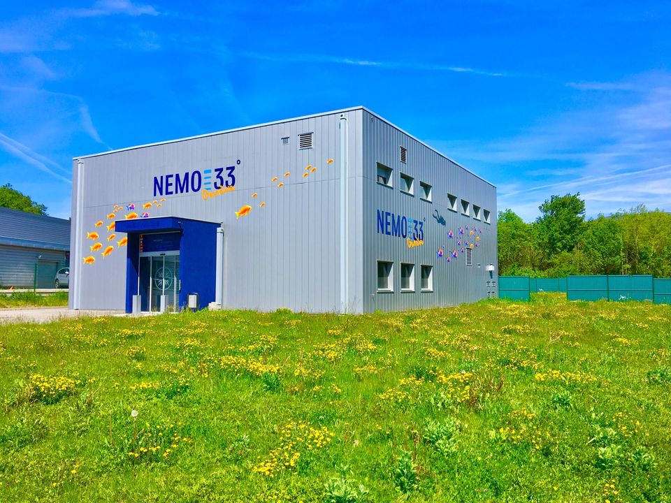 Sortie deux plongées en fosse à Nemo33