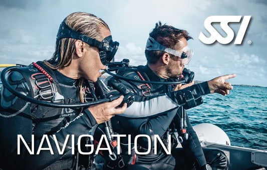 Navigation SSI