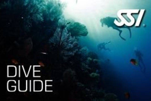 Dive Guide SSI